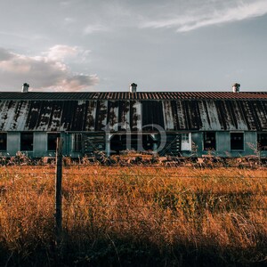 May include: A weathered, gray metal barn with a rusty roof stands in a field of tall, dry grass. The barn has multiple windows and a wooden door. A wooden fence post with barbed wire runs in front of the barn.