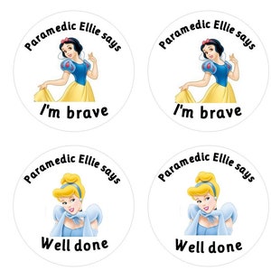 Disney Princess, Stickers, Paramedic stickers, Nurse stickers, Doctor stickers, Student, gift, brave stickers, personalised, paramedic,nurse