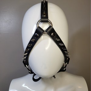 Leather Face Harness