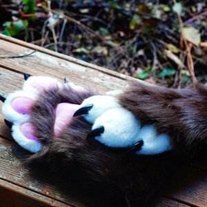 May include: Close-up of a furry brown paw with pink and white pads and black claws. The paw is resting on a wooden surface.