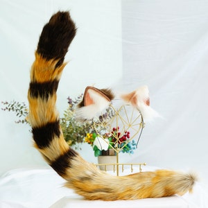 Tabby cat tail, Tabby cat ears, cosplay cat ears, brown cat headband, simulated fox ears, vampire ears,  lolita ears, cosplay set, 142