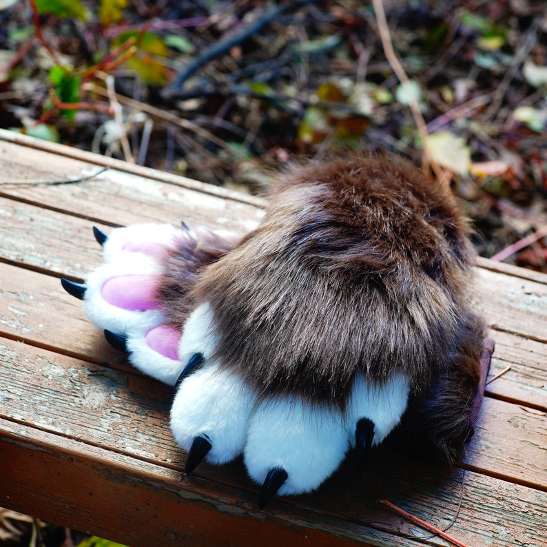 May include: Close-up of a brown and white furry paw with pink paw pads. The paw is resting on a wooden surface.