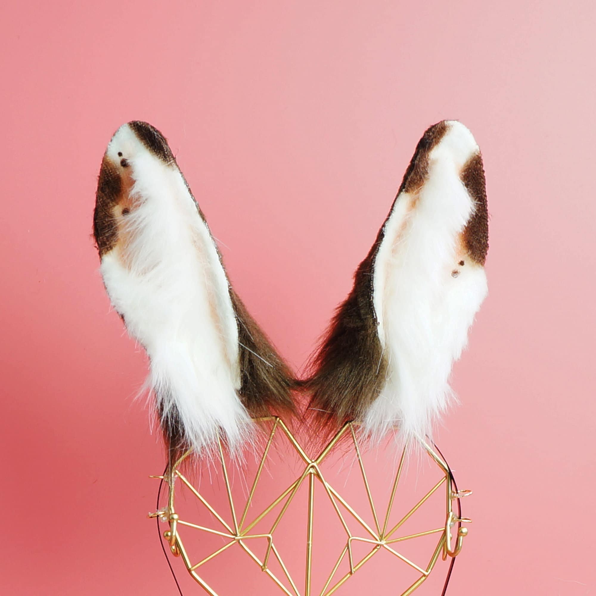 Brown rabbit ears Realistic spotty bunny earsWhite bunny | Etsy