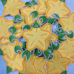 Paopu Fruit - Kingdom Hearts - Embroidered Iron-On/Sew-On Patch