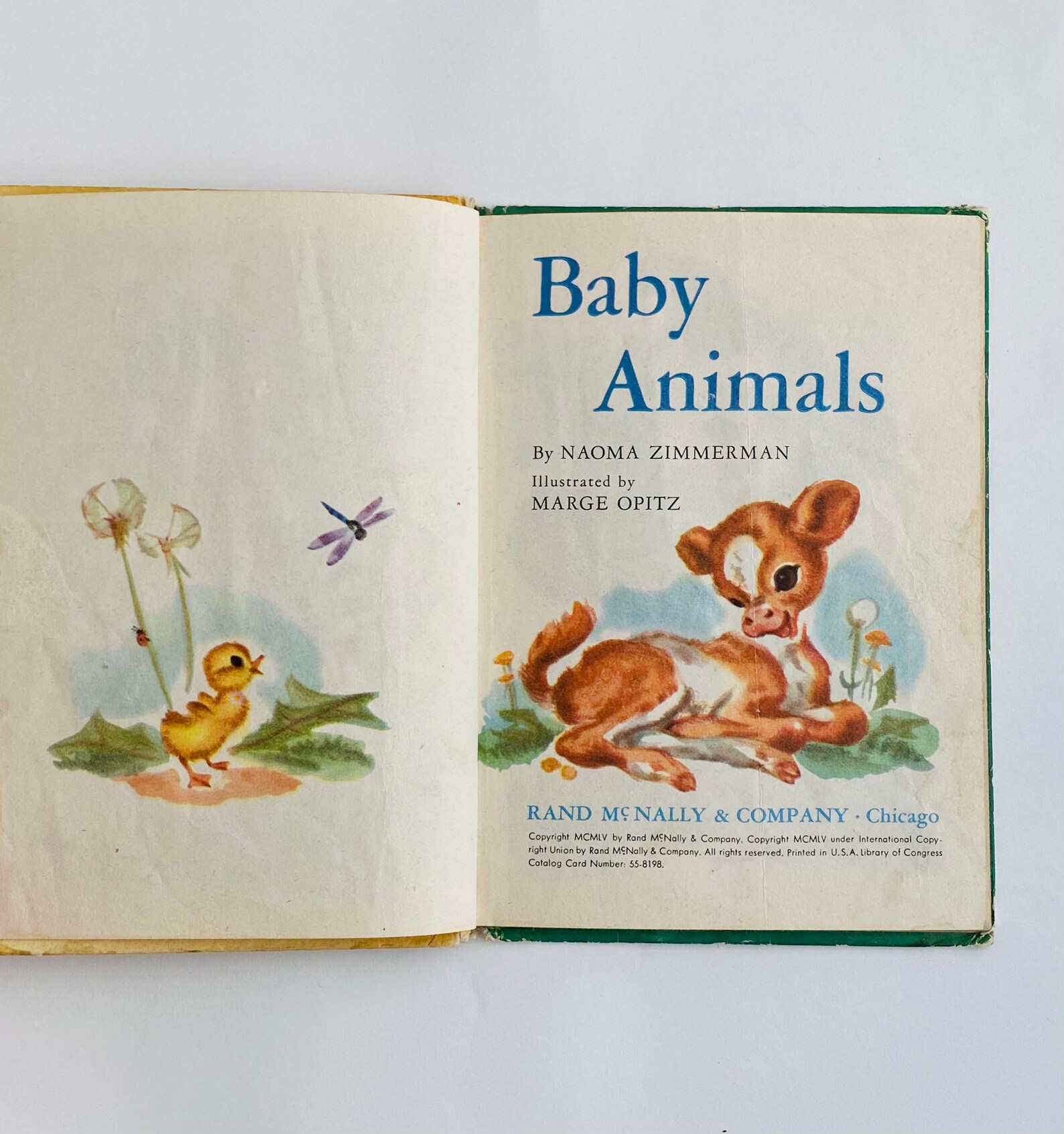 Baby Animals Vintage Children's Storybook Etsy