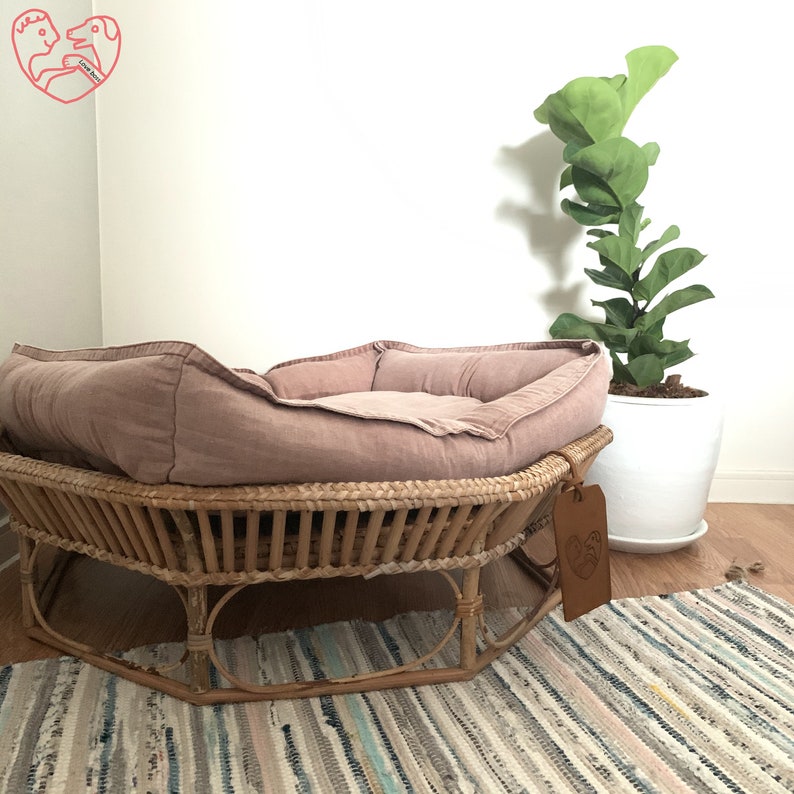 12+ Beautiful Rattan Dog Beds For Australians (2023 Update)