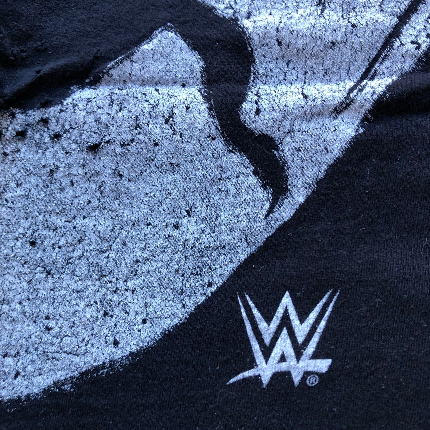 wwe SHIELD 直筆サインポスター s-l400.jpg