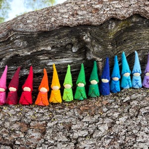 May include: A collection of felt gnomes in a rainbow of colours, from pink to purple, with white faces and pointed hats. The gnomes are arranged on a textured, brown tree branch.
