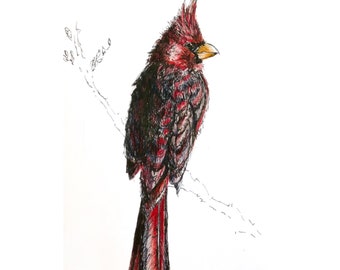 Cardinal ink sketch