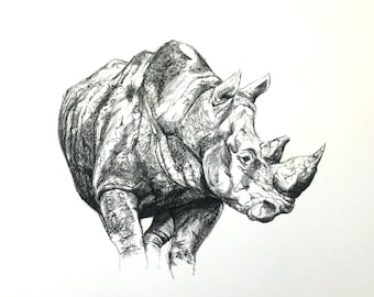 Rhino ink sketch