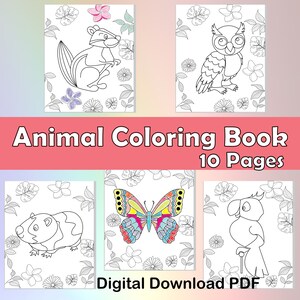 Animal Coloring Pages for Kids, 10 Coloring Pages for Kids, Coloring Sheets Book, Coloring Book for Toddler, Instant Download