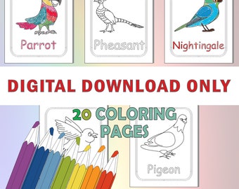 Printable Birds Coloring Pages, 20 Coloring Pages for Kids, for Toddler, Birds Coloring Book, Kids Coloring Book, Instant Download