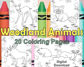 Coloring pages printable, Woodland animals coloring book, Printable coloring page for kids, 20 fun animal coloring book digital, Pdf format