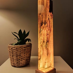 Lava Epoxy Resin Lamp, Tall Wooden Lamp for Nightstand, Bedside Decoration Lamp, Wooden Epoxy Resin Light