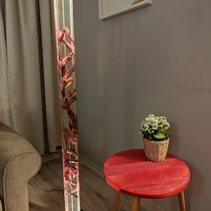 May include: A tall, rectangular floor lamp with a clear acrylic body, showcasing a reddish-brown, organic design within. The lamp has a black base and top, and is illuminated. A small, red side table and a potted plant are also visible.