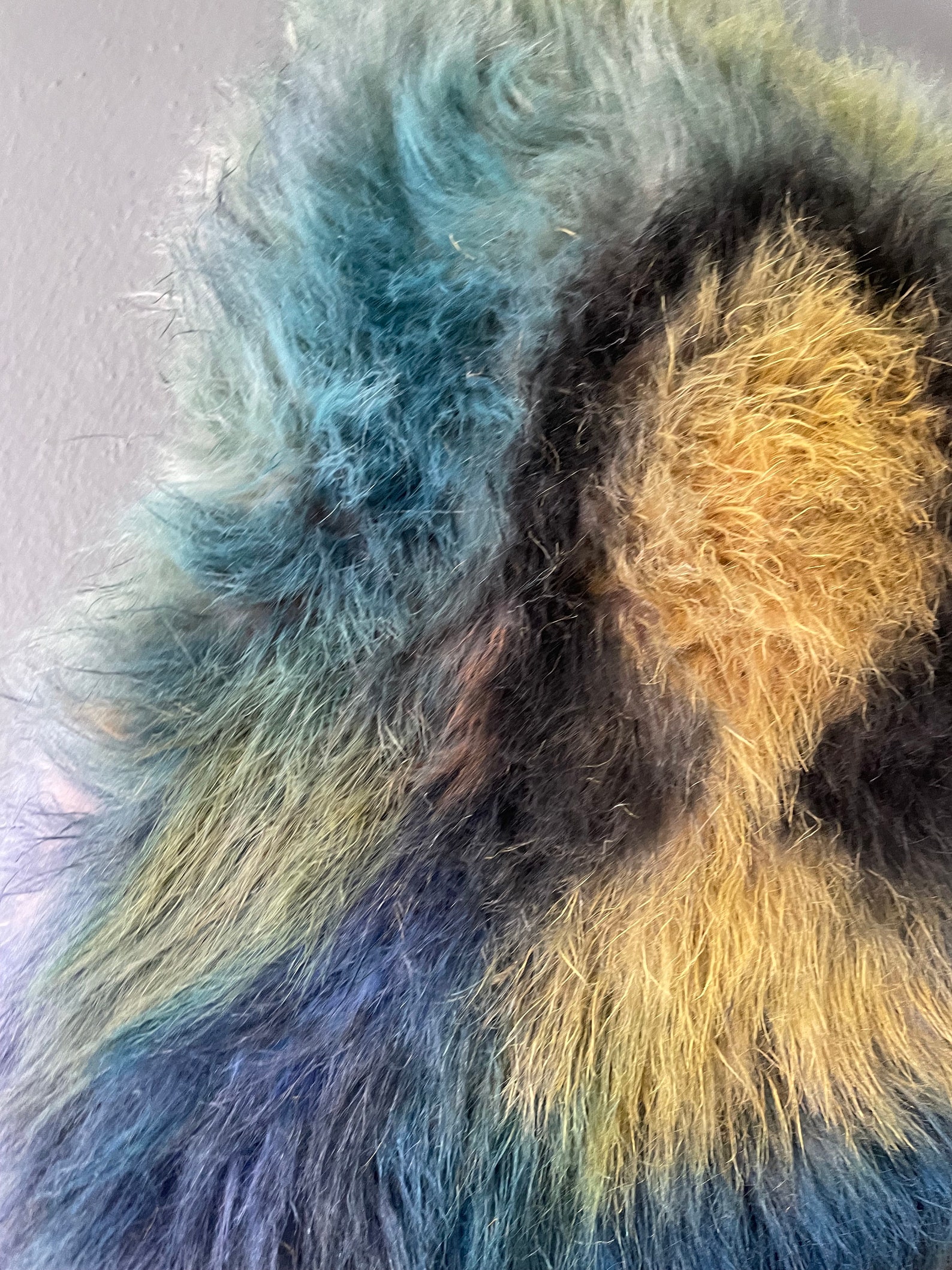 Furry wall art mona lisa portrait painting furry Etsy