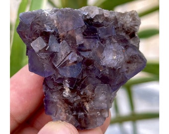 385 CTS 天然紫蛍石標本、鉱物標本、結晶 - Etsy 日本