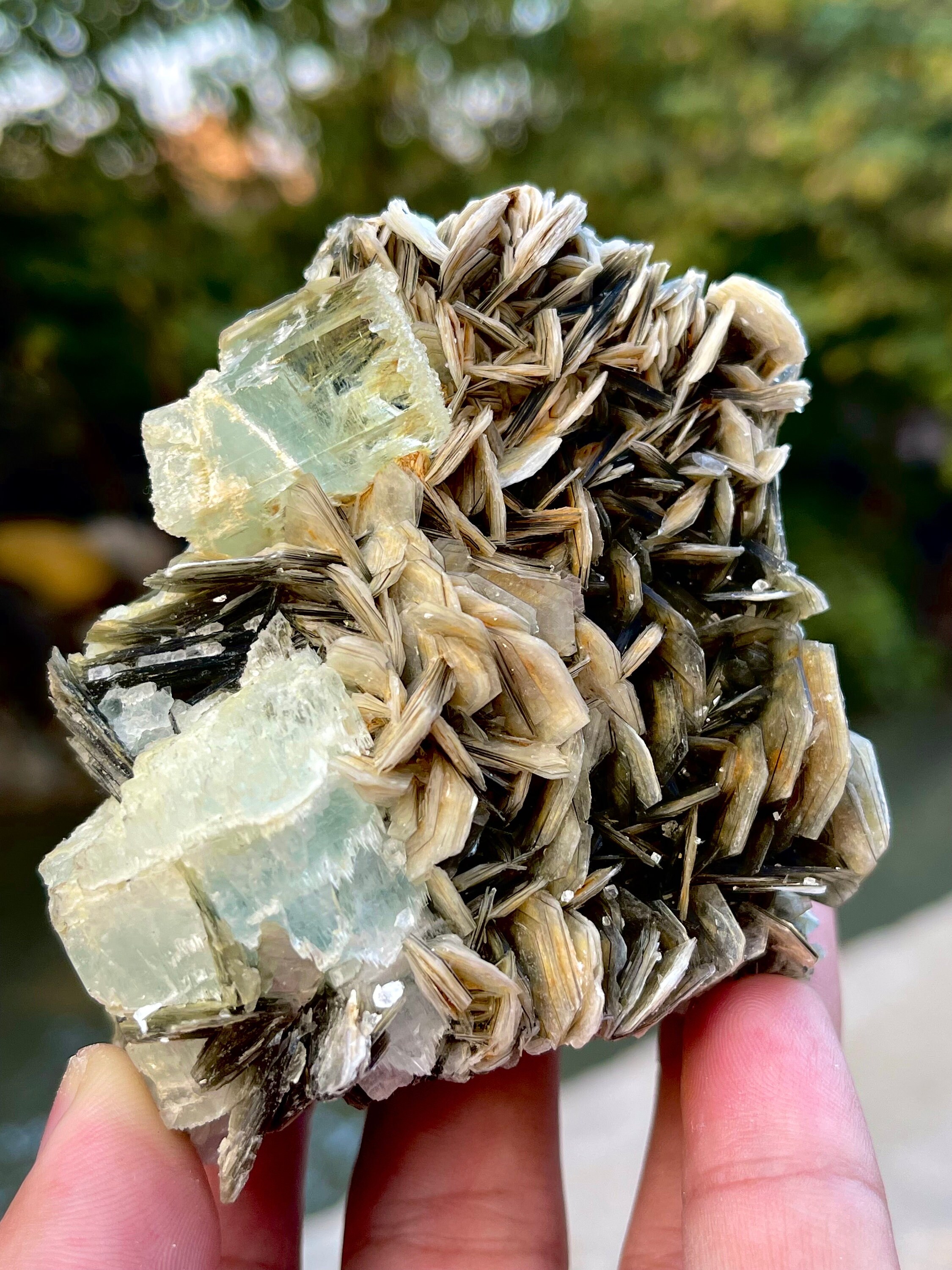 アクアマリン×モスコバイト共生標本-14 アクアマリン×モスコバイト共生標本-14 - メルカリ