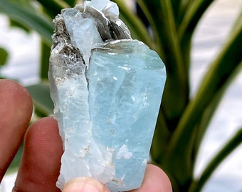 295 CTS 天然ブルーアクアマリンクリスタルと白雲母の複合標本。鉱物