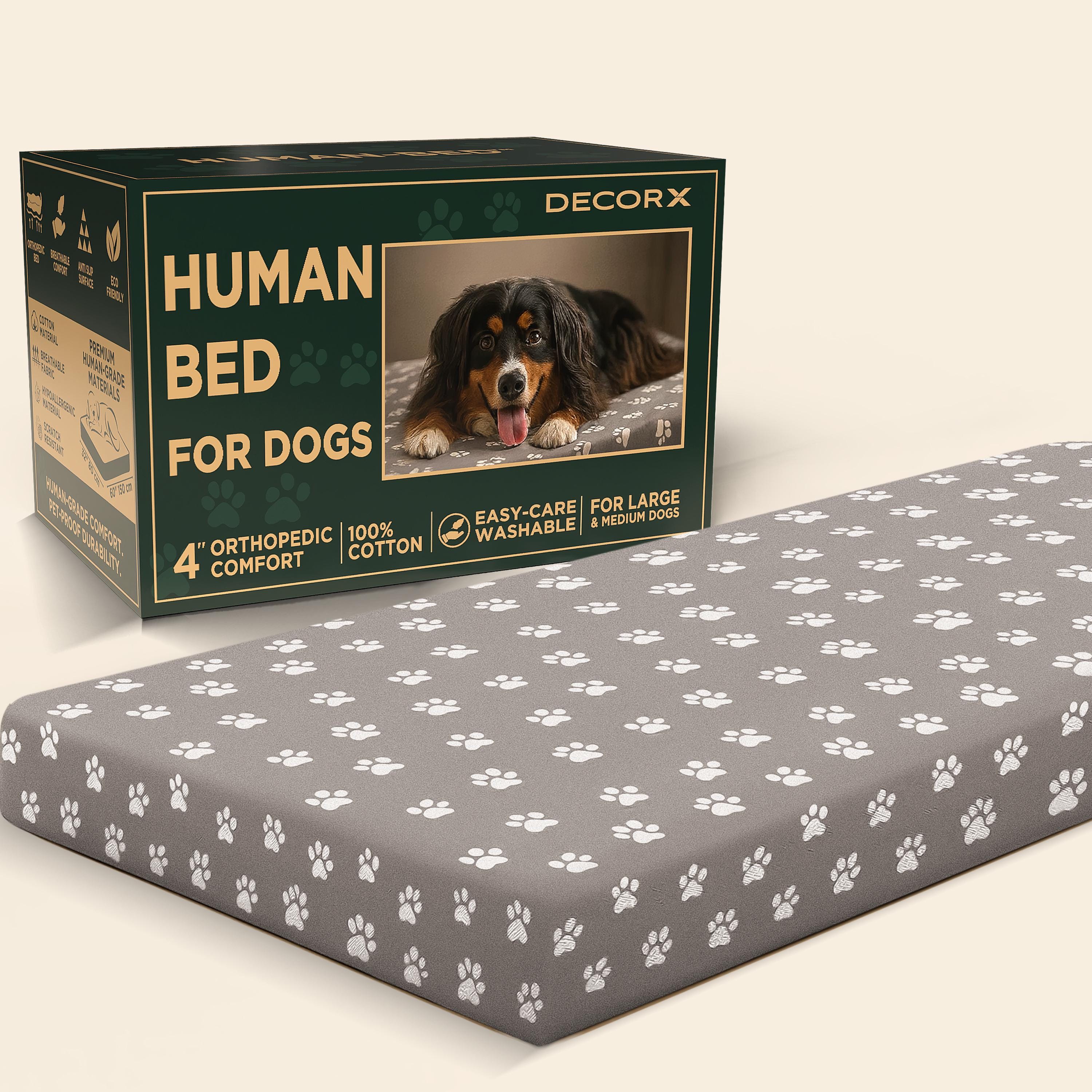 hundemantel wasserdicht und warm Hundemantel Anthrazit – Winterschutz & Softshell