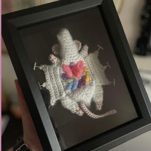 Dissected Rat Crochet Pattern