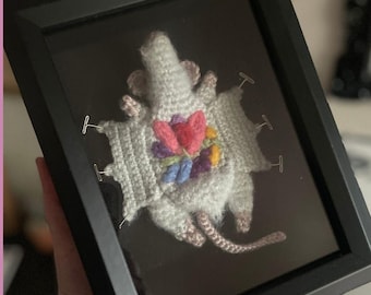 Sezierte Ratte Häkelanleitung