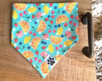 Fruit Salad | Cat/Dog Snap On Reversible Pet Bandana | Food | Colorful | Bright | Seasonal | Spring | Summer | Plaid | Citrus | Flowers