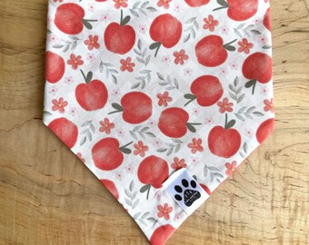 Sweet Daisies | Cat/Dog Snap On Reversible Pet Bandana | Fruit | Apples | Food | Florals | Flowers | Spring | Summer | Seasonal | Nature