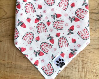 Strawberry Bliss | Cat/Dog Snap On Reversible Pet Bandana | Fruit | Food | Berries | Rainbows | Weather | Florals | Flowers | Plaid | Spring