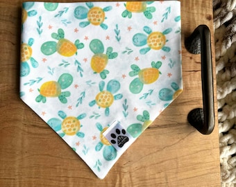 Fin Noggin Dude | Cat/Dog Snap On Reversible Pet Bandana | Summer | Seasonal | Animals | Turtles | Sea Turtle | Sea Creatures | Sea Life