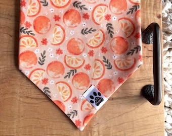 Citrus-ly Cute | Cat/Dog Snap On Reversible Pet Bandana | Citrus | Fruit | Oranges | Tangerines | Flowers | Florals | Seasonal | Summer