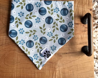 May include: A light blue bandana with a blueberry and floral print. The bandana has a white paw print logo in the bottom right corner.