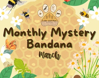 March's Monthly Mystery Bandana | Cat/Dog Snap On Reversible Pet Bandana | Mystery Box | Mystery Print | Mystery Pattern | Insects | Bugs