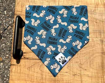 Squirrel named Heck | Cat/Dog Snap On Reversible Pet Bandana | Animals | Squirrels | Rodents | Nature | Alpine Marmot | Acorns | Trees