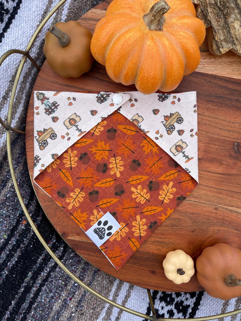 May include: A brown and white dog bandana with a fall theme. The bandana features a brown and orange leaf pattern on one side and a white side with a brown and white illustration of a scarecrow and a wagon with pumpkins. The bandana has a white paw print logo in the lower right corner.