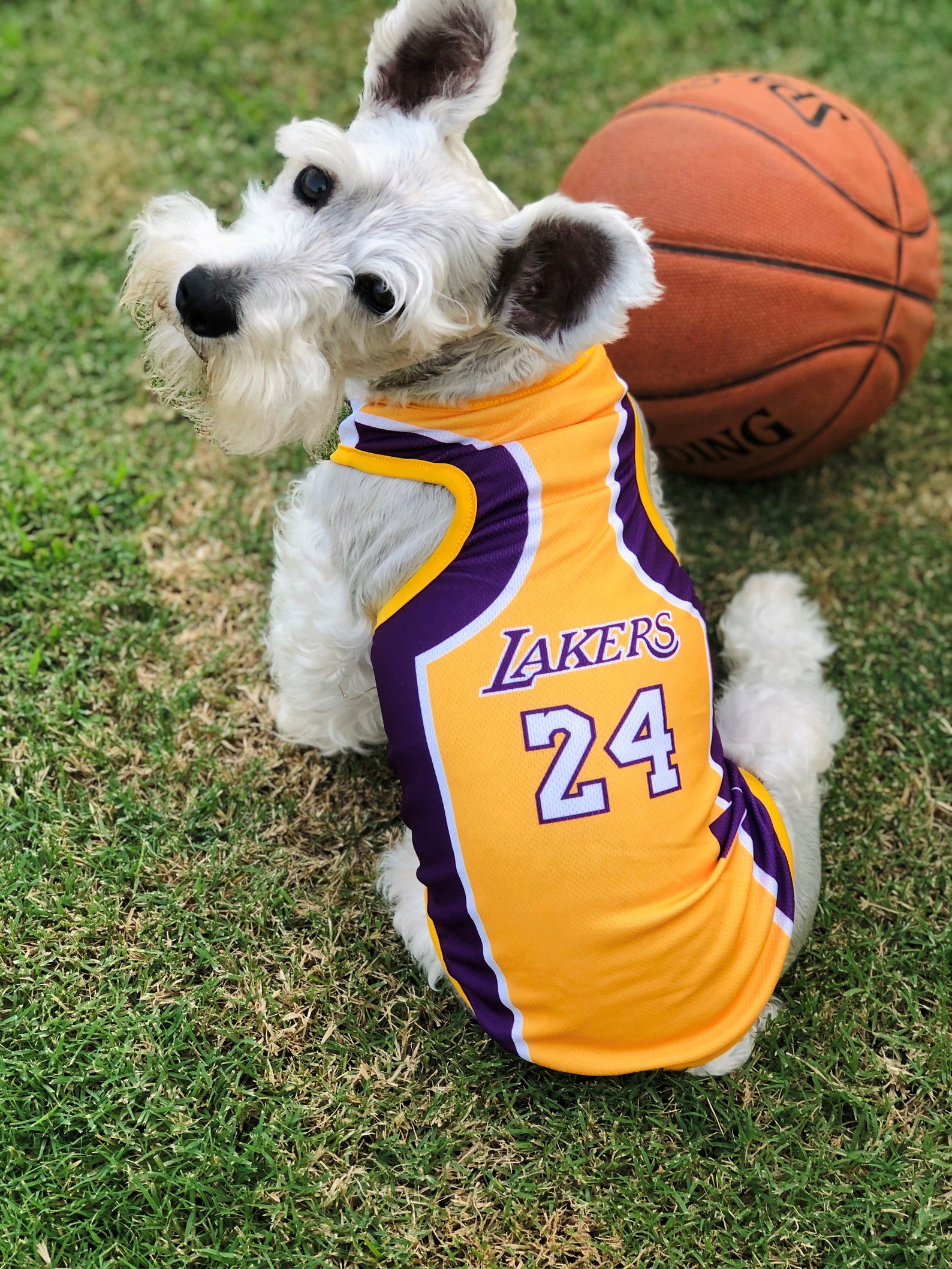 Kobe Jersey/Dog Jersey/Kobe Dog Jersey/Lakers Dog Etsy