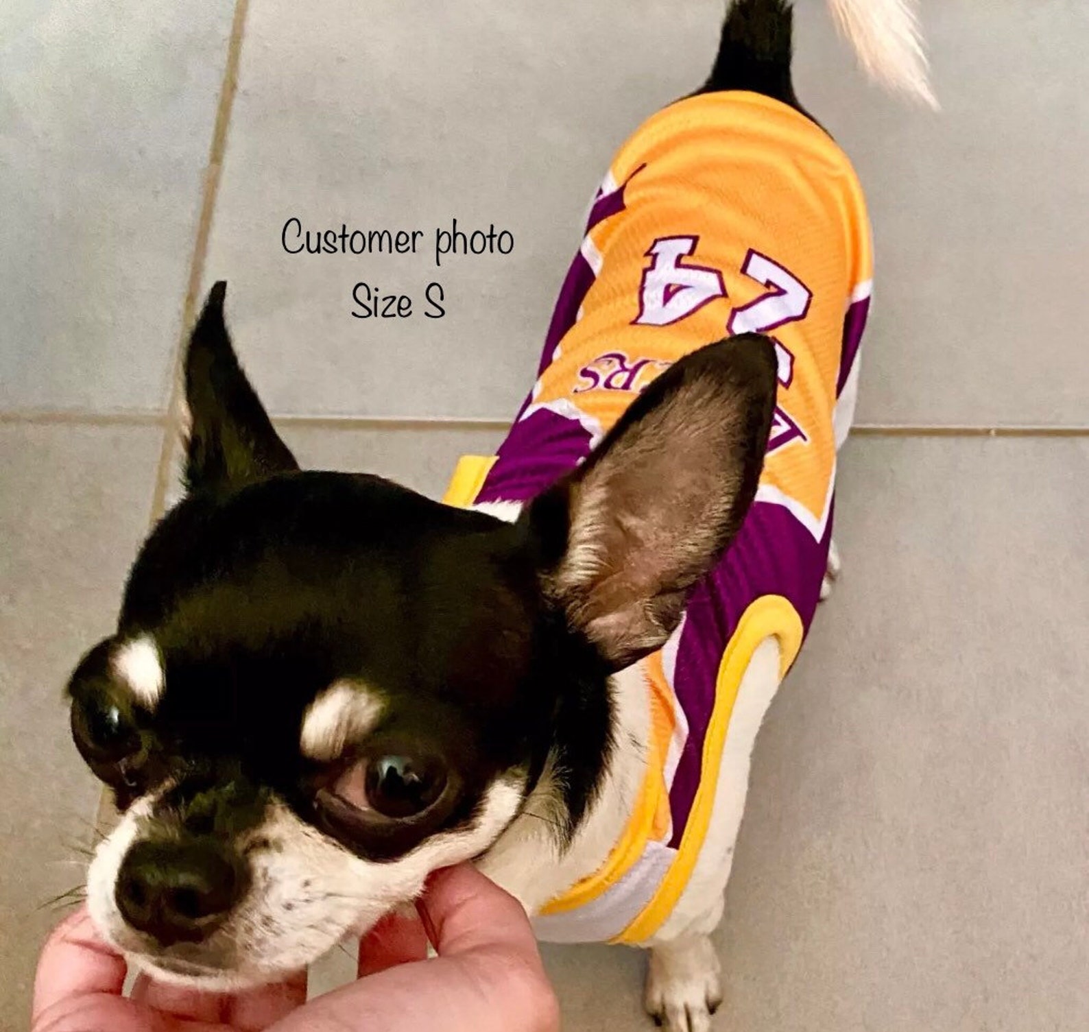 Kobe Jersey/Dog Jersey/Kobe Dog Jersey/Lakers Dog Etsy