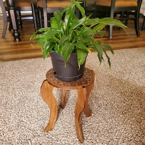 May include: A green peace lily plant in a black pot sits on a wooden plant stand with a carved mandala design. The stand has three legs and is on a light brown carpet.