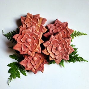 Aromatic Natural Red Cedar Flowers, Naturally Aromatic Cedar, Cedar Kindling, Cedar Bars, Organic, Bug Repellent, Natural Fragrance, Cedar