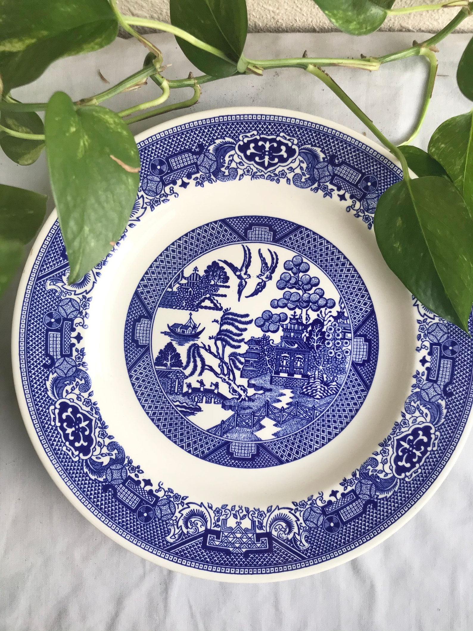 Two Willow Ware by Royal China Plates Etsy