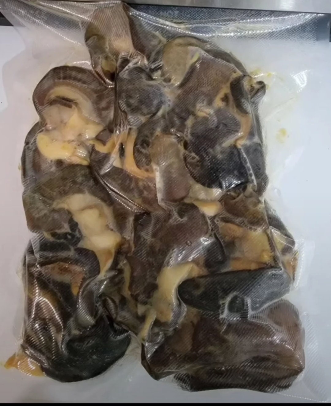 Frozen /fresh Snails Jumbo Size Etsy