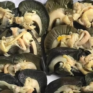 Puede incluir: Primer plano de varios caracoles cocidos, presentados en un plato blanco. Los caracoles tienen conchas de color gris oscuro y están rellenos de un relleno cremoso de color claro. Se trata de una preparación culinaria.