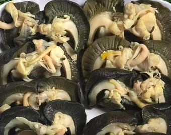 Fresh, Frozen Jumbo African Snails - 2 Lbs - Etsy