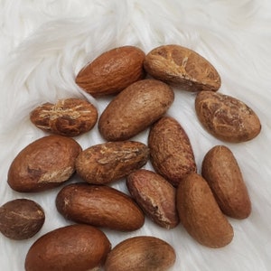 Orogbo/Bitter Kola