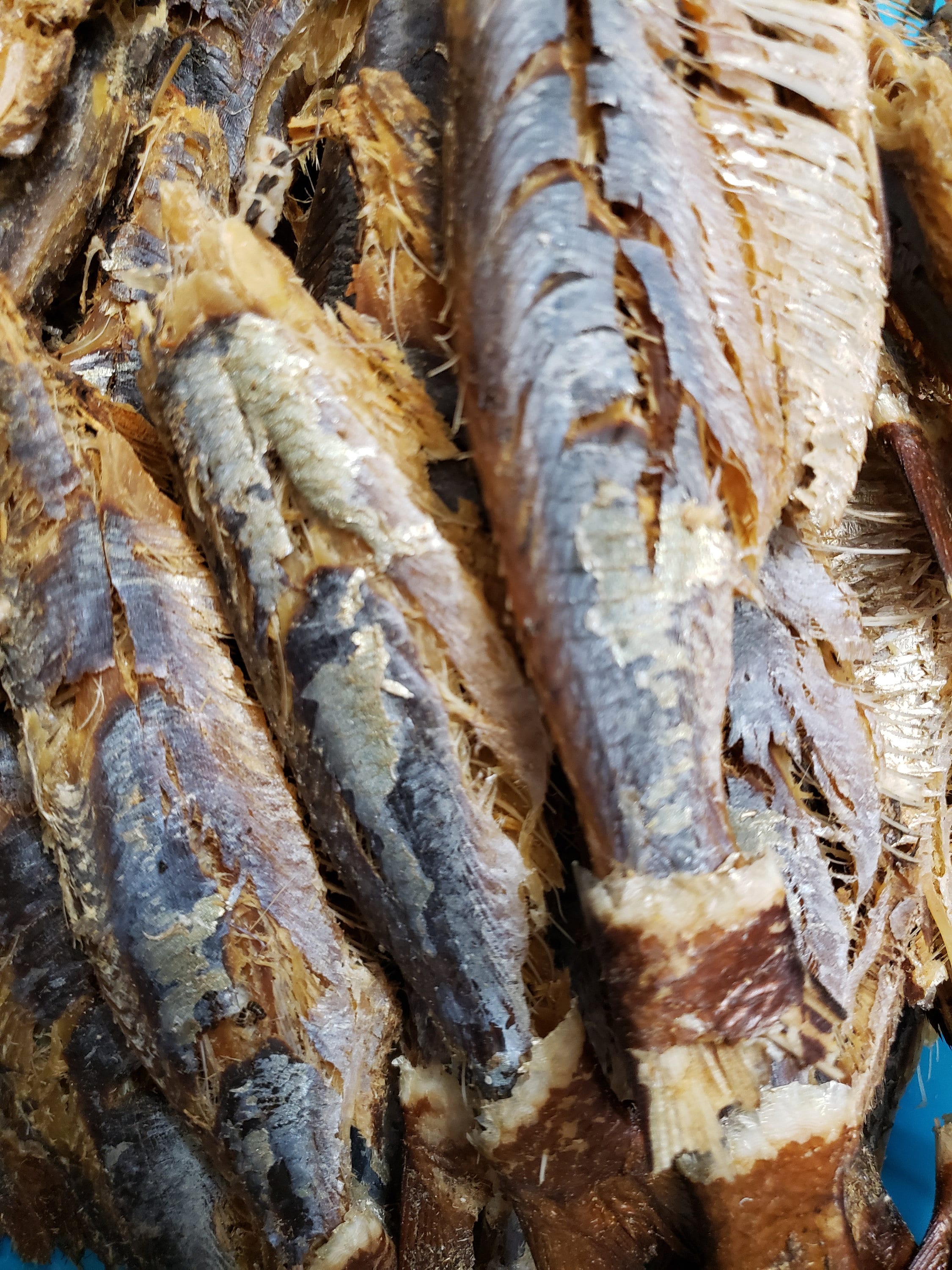 Buy Dried Bonga Fish Agbodo Fish 14pieces big Wild Caught Online