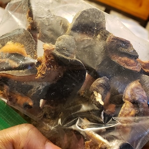 Oven-Dried Snail 5 pieces