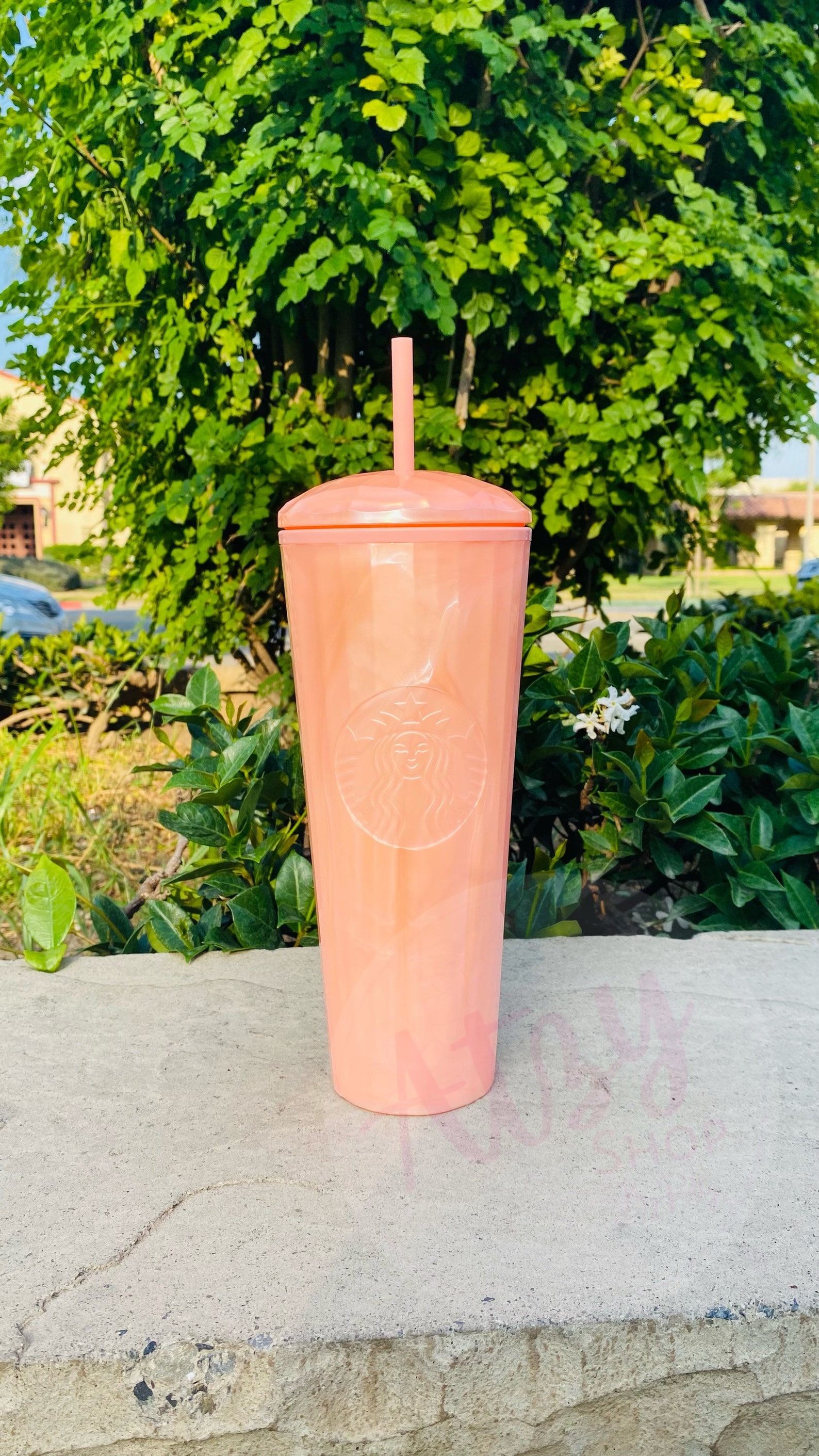 starbucks blush pink cup