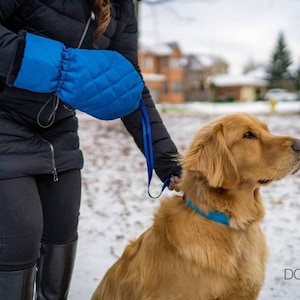 Pode incluir: Uma pessoa vestindo um casaco de inverno preto e luvas azuis leva um c&atilde;o golden retriever na coleira pela neve. O c&atilde;o est&aacute; usando uma coleira azul.
