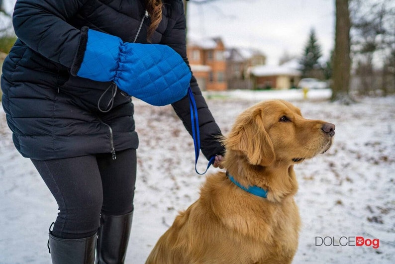 Pode incluir: Uma pessoa vestindo um casaco de inverno preto e luvas azuis leva um c&atilde;o golden retriever na coleira pela neve. O c&atilde;o est&aacute; usando uma coleira azul.