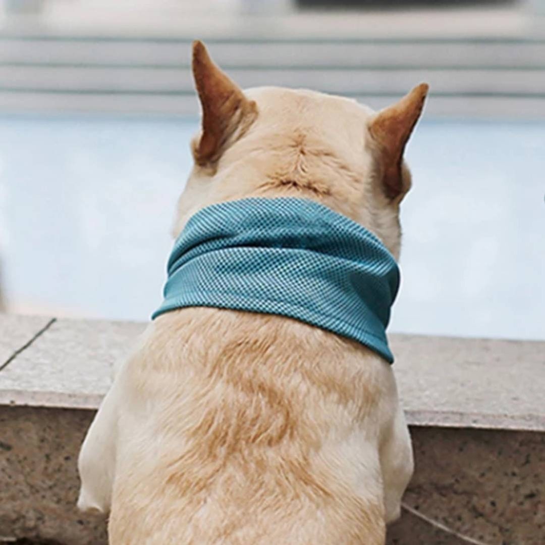 Cooling Scarf Dog Cooling Bandana Cooling Neck Band for Etsy